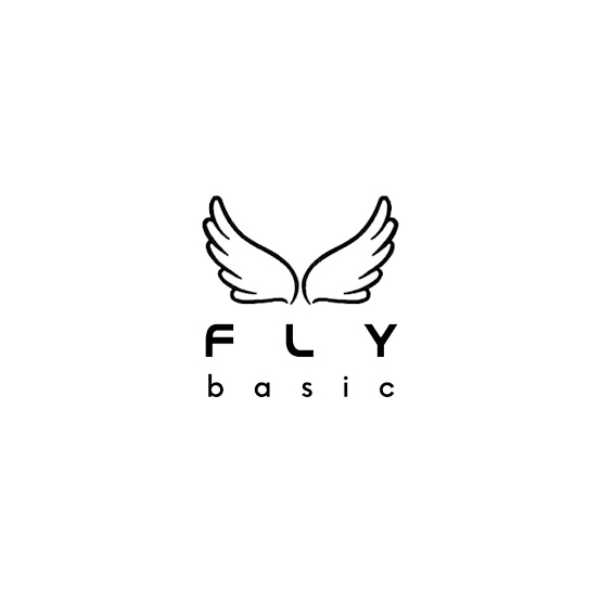 Fly Basic